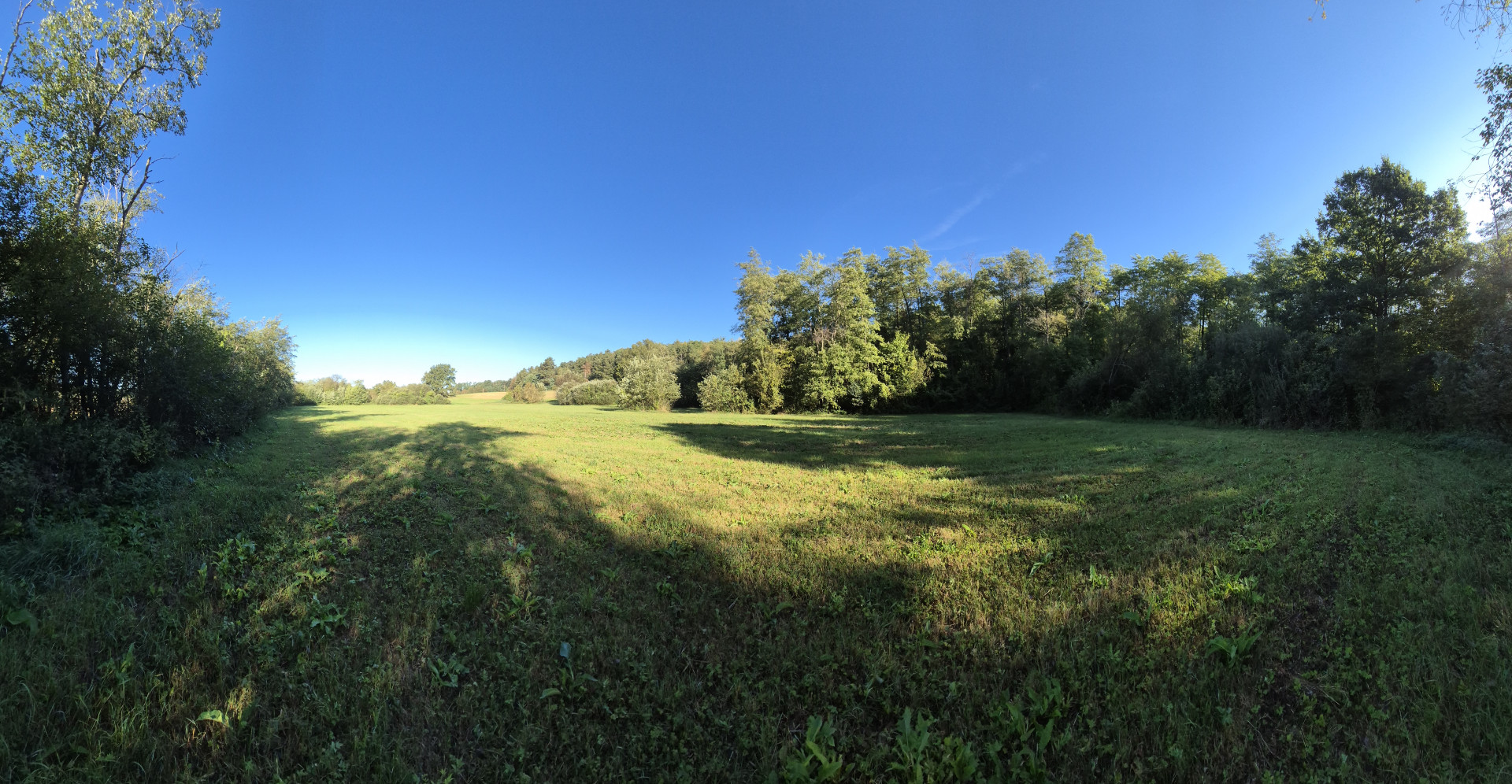 Landschaftsaufnahme inkl. Göllersbach in der nächsten Umgebung der Mietwohnungen von Grünspecht.