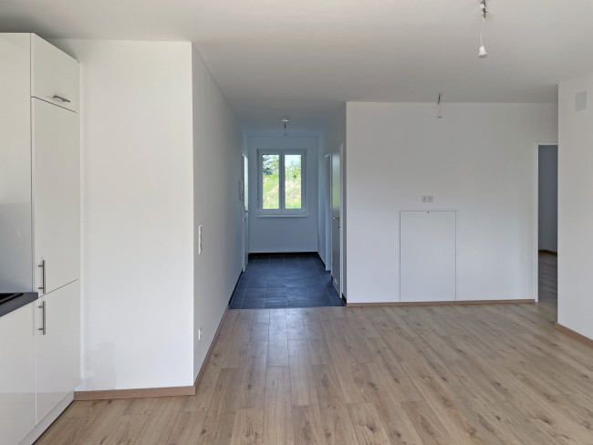 Grünspecht Wohnküche mit Blick zum Eingang