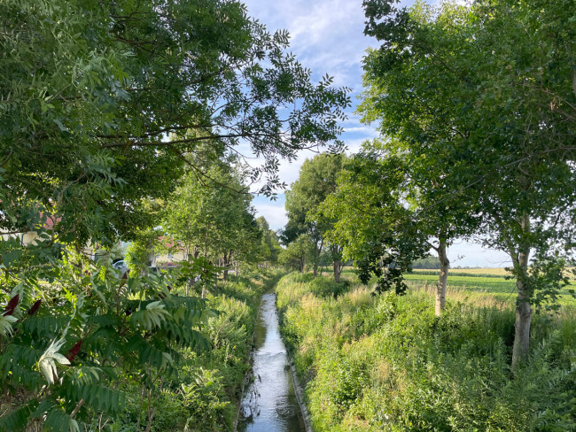 Göllersbach gegenüber des Wohnhauses