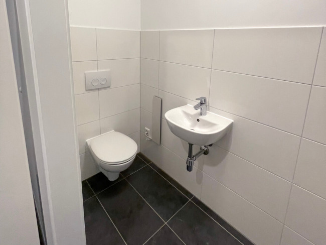 Grünspecht Toilette