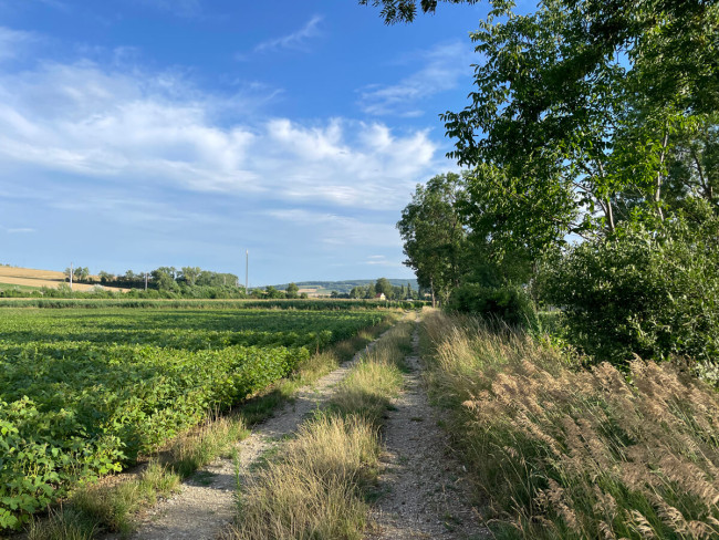 Landschaft gegenüber des Wohnhauses