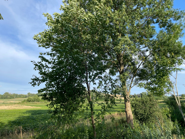 direkte Umgebung des Wohnhauses