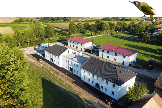 Mietwohnung Hollabrunn Grünspecht Eingangsseite